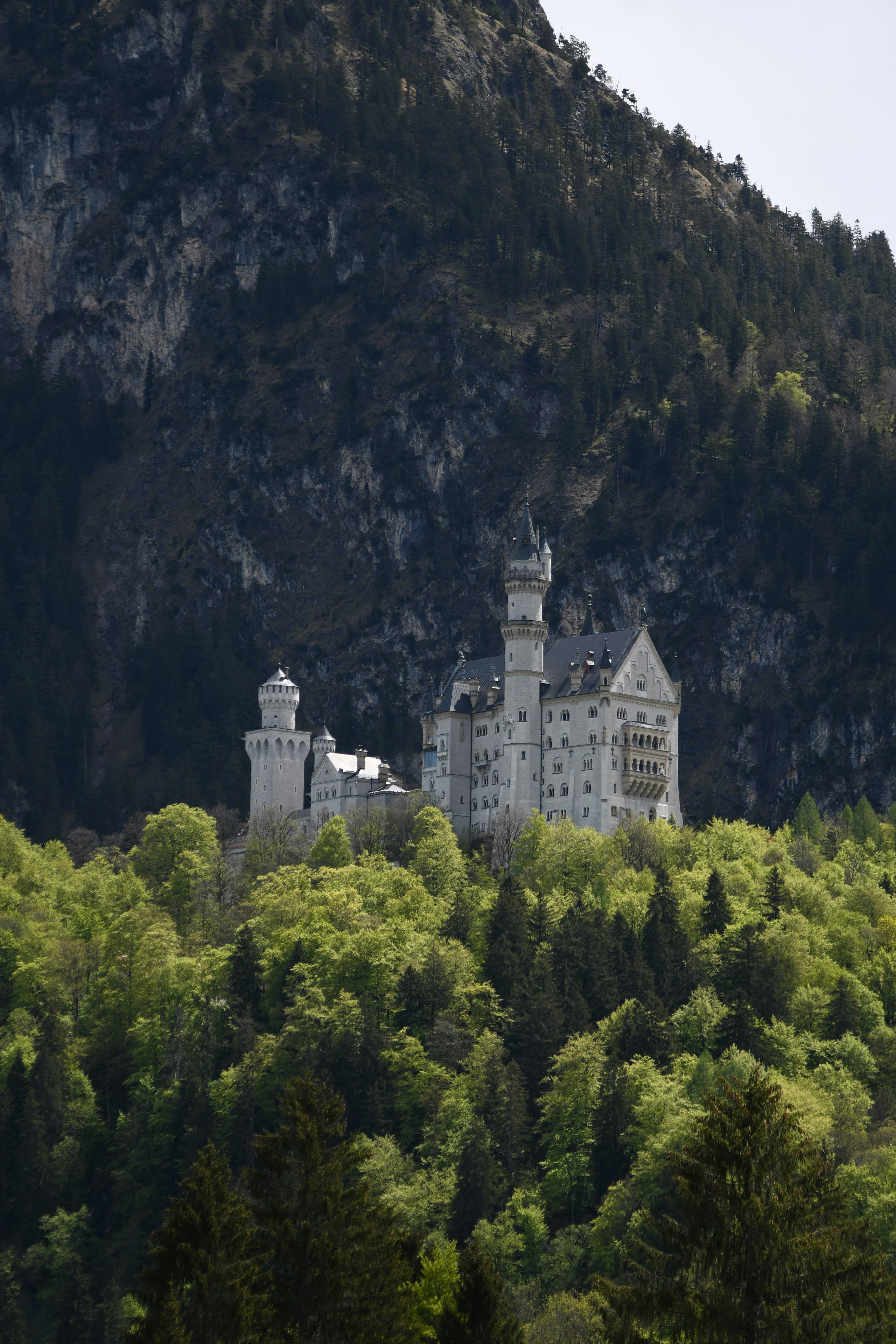 Berlin's Cultural Circuit